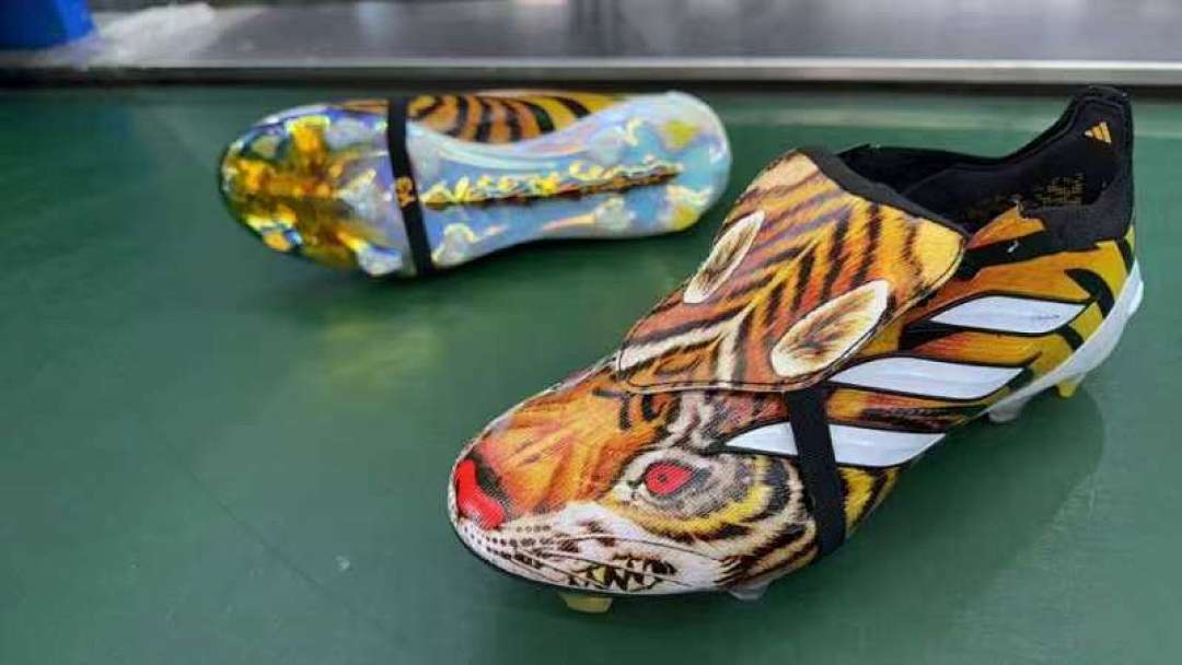 Adidas Predator 26 FG